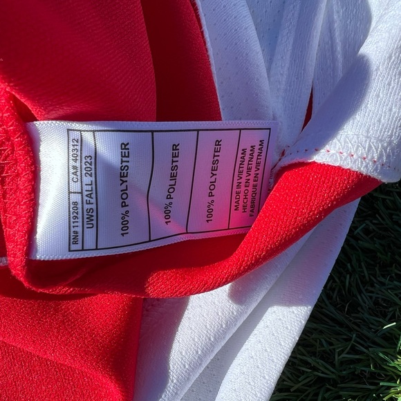 Large Mitchell & Ness Men's Detroit Red Wings Chris Chelios #24 NHL Jersey - Picture 13 of 15